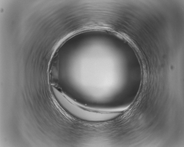 X0000054461246200508270056
