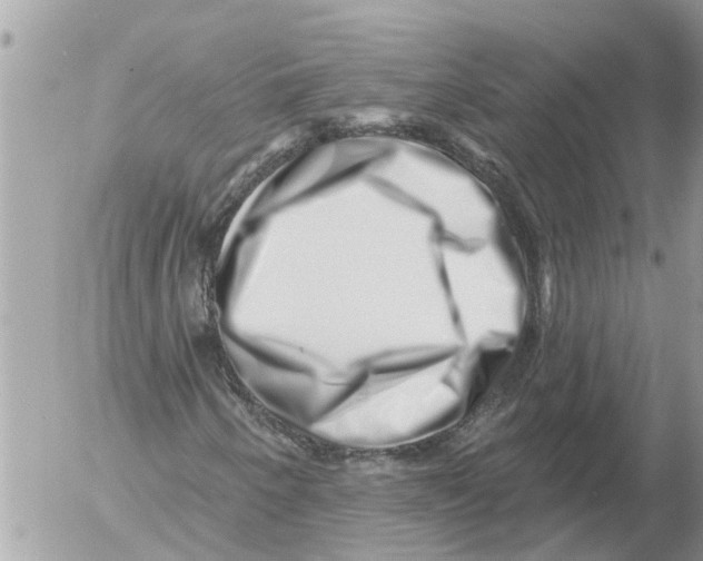 X0000054461250200508270055
