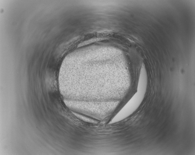 X0000054461252200508270055