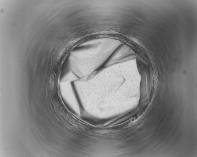 X0000054461257200508270055