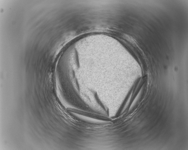 X0000054461260200508270055