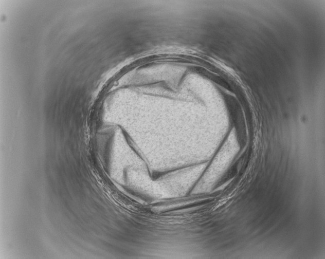 X0000054461264200508270055