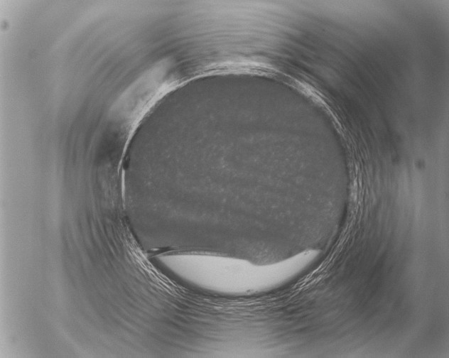 X0000054461275200508270055