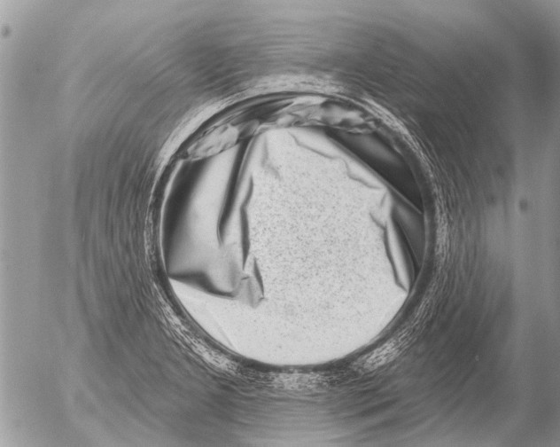 X0000054461277200508270055