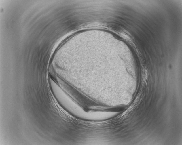 X0000054461288200508270055