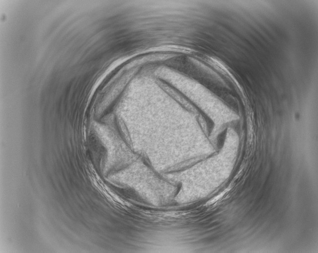 X0000054461292200508270054