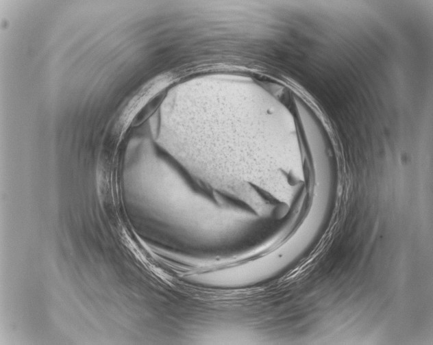 X0000054461293200508270054