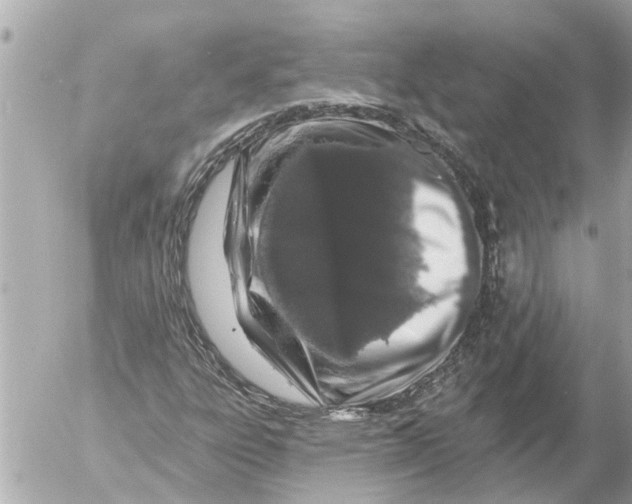 X0000054461303200508270054