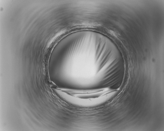 X0000054461307200508270054
