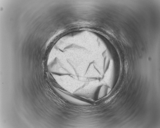 X0000054461309200508270054