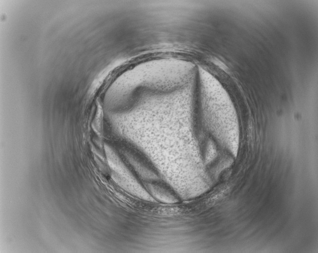 X0000054461310200508270054