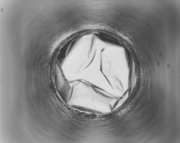 X0000054461311200508270054