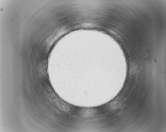 X0000054461314200508270054