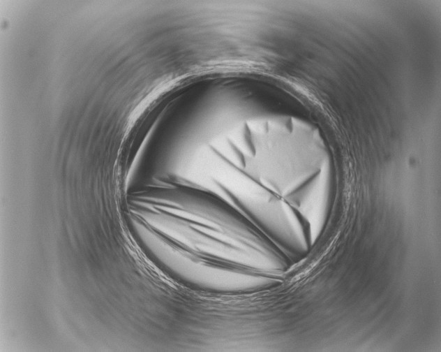 X0000054461325200508270054