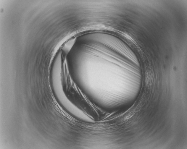X0000054461326200508270054