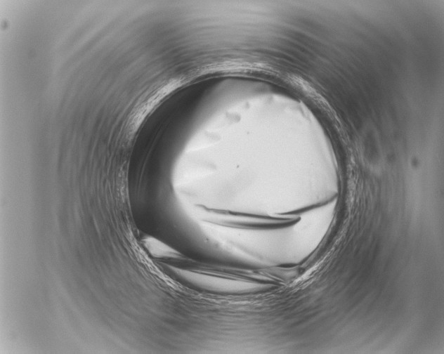 X0000054461329200508270054