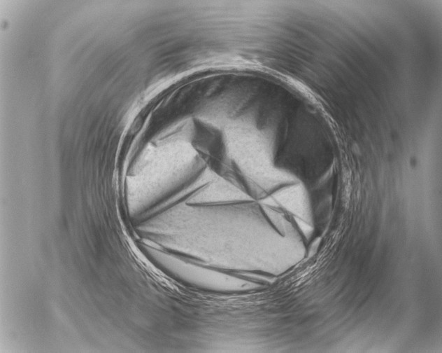 X0000054461335200508270054