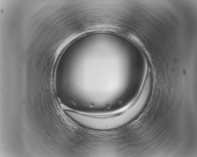 X0000054461336200508270054