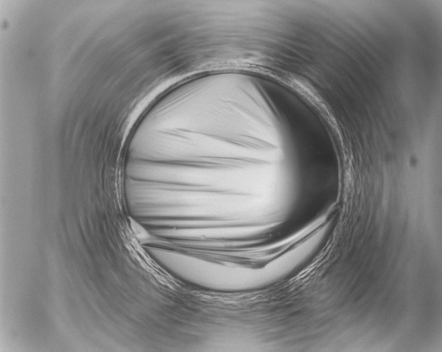 X0000054461340200508270054