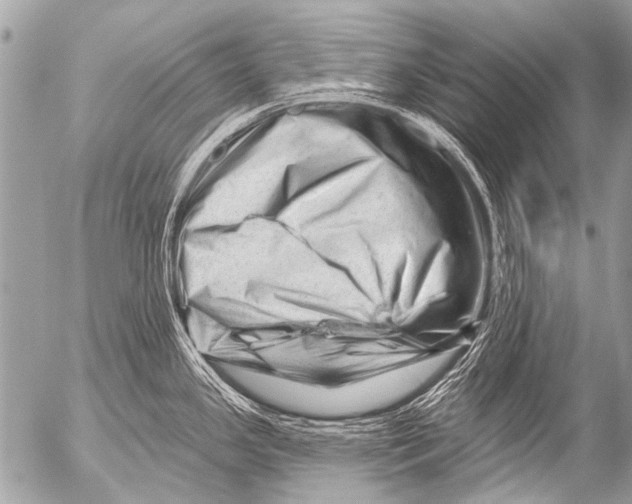 X0000054461341200508270054