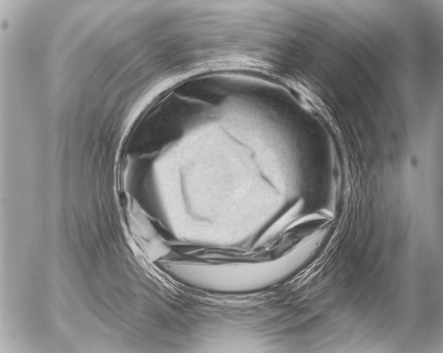 X0000054461342200508270054