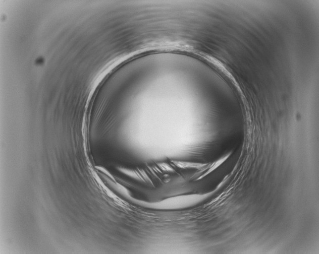 X0000054461343200508270054