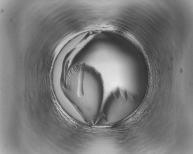 X0000054461344200508270054