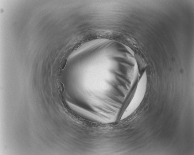 X0000054461345200508270054