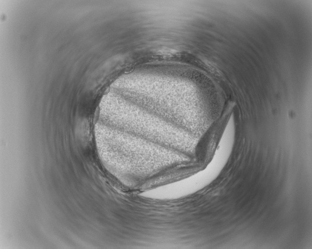 X0000054461347200508270054