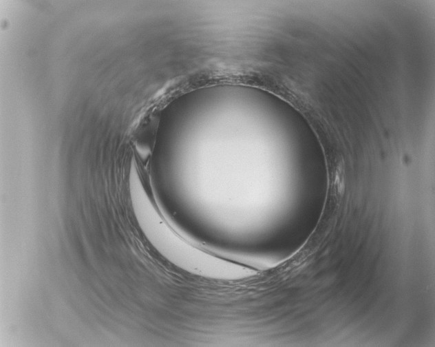 X0000054461348200508270054