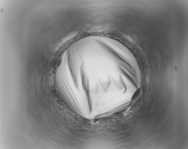 X0000054461350200508270054