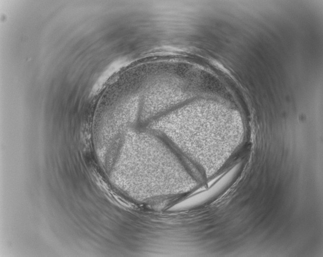 X0000054461355200508270053