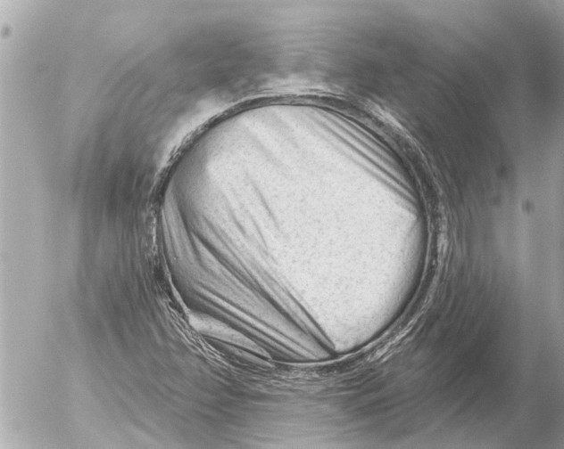 X0000054461358200508270053