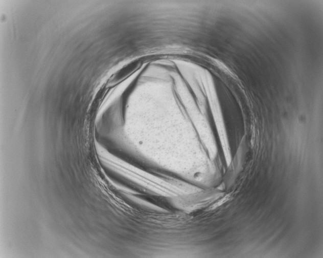 X0000054461364200508270053