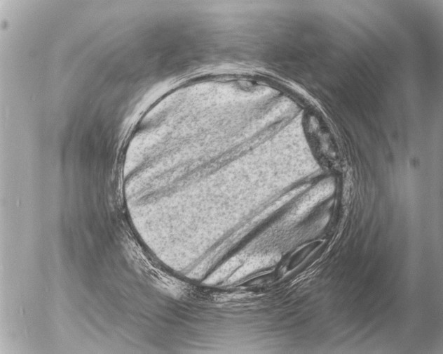 X0000054461367200508270053