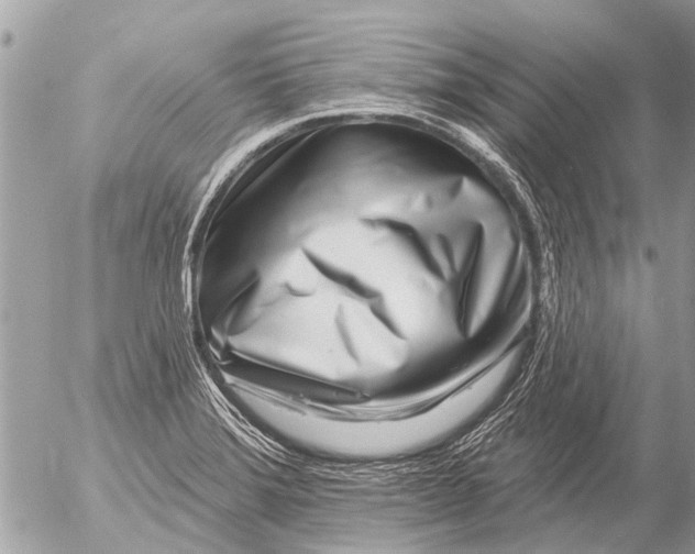 X0000054461372200508270053