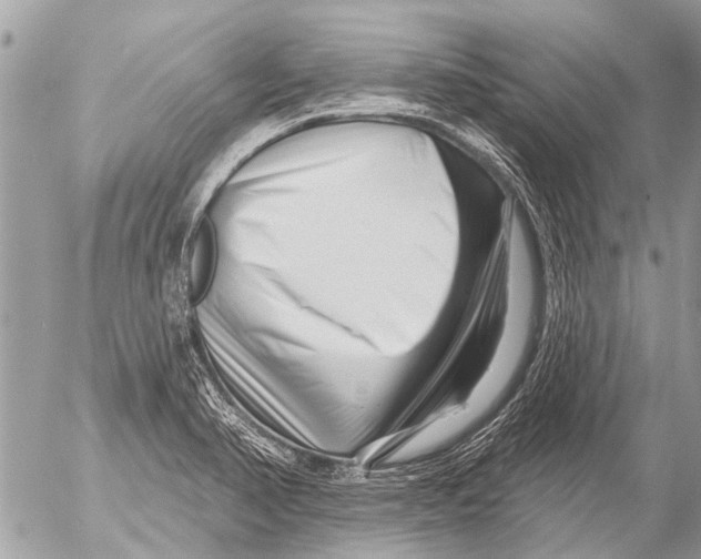 X0000054461374200508270053