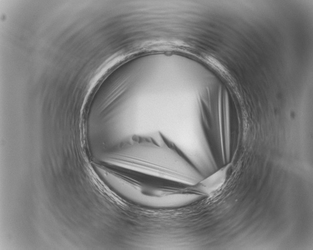 X0000054461384200508270053