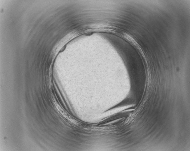 X0000054461386200508270053