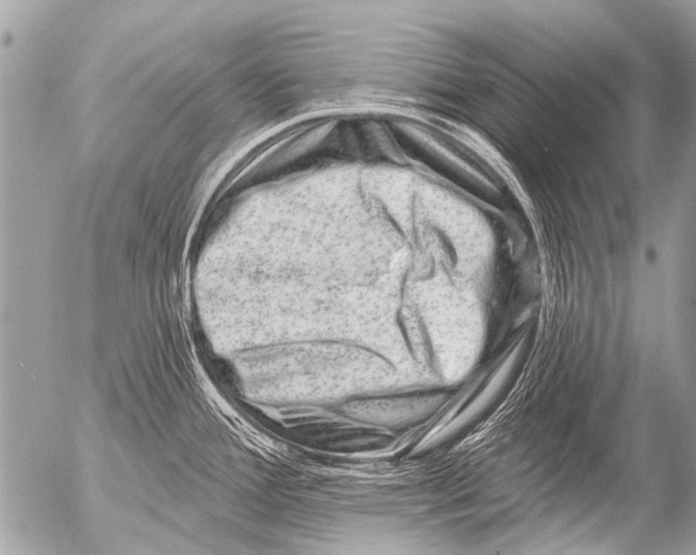 X0000054461388200508270053