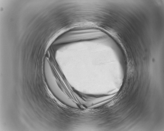 X0000054461390200508270053
