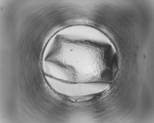 X0000054461392200508270053