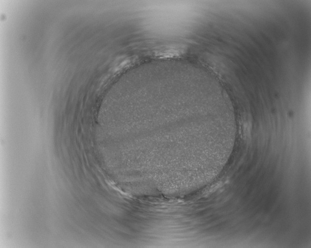 X0000054461393200508270052