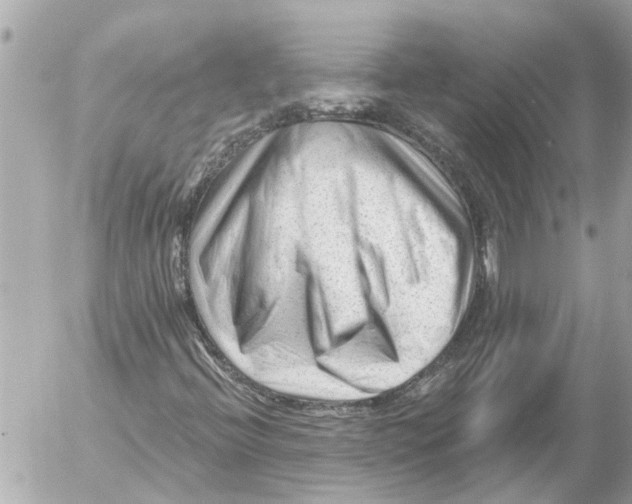 X0000054461396200508270052