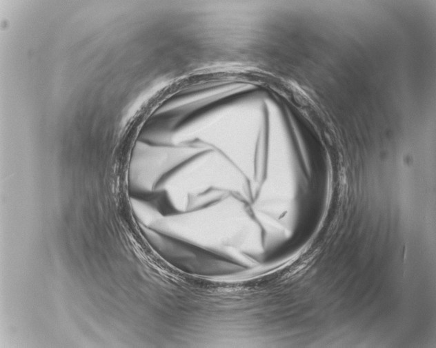 X0000054461406200508270052