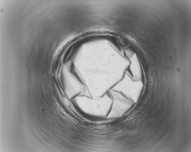 X0000054461408200508270052