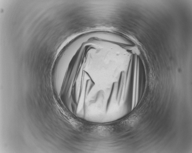 X0000054461412200508270052