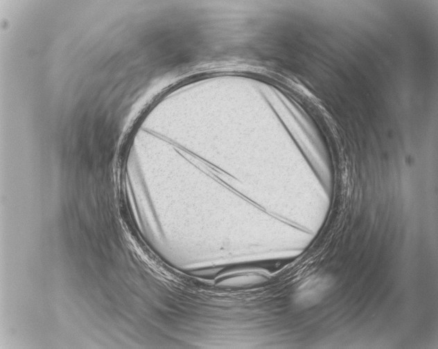X0000054461416200508270052