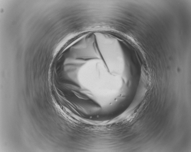 X0000054461422200508270053