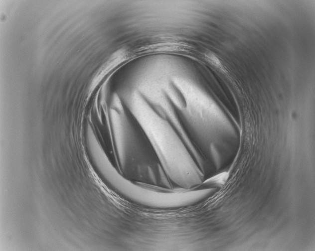X0000054461426200508270053
